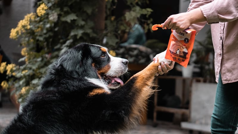 Dog food product