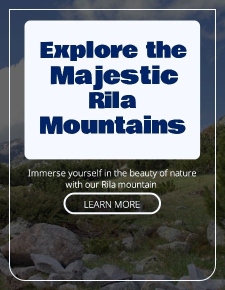 White mountains travel banner