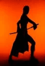 Ninja warrior shadow