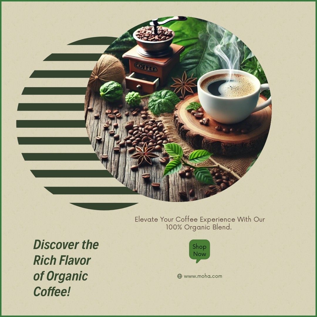 WhatsApp promo for organic coffee generated by Sivi