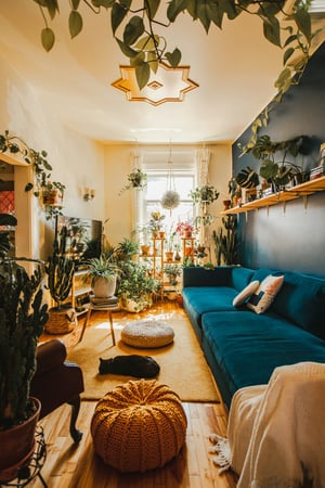 Interiors of living room