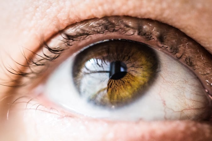 Human eye